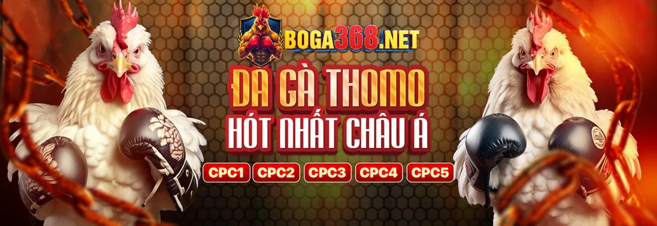 Đá gà trực tuyến thabet app